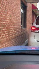 Squirrel Gets a French Fry at the Arby's Drive-Thru