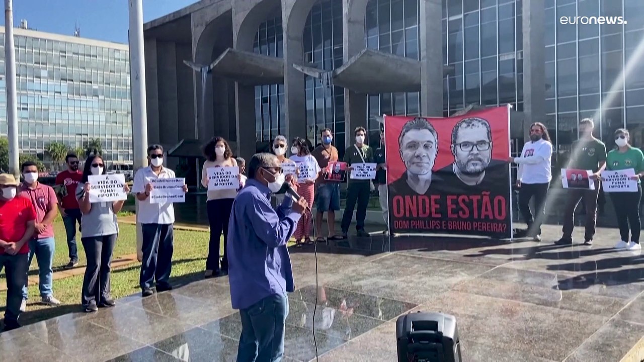 Schonungslose ausbeutung: 2.000 fußballfelder regenwald verschwinden pro tag