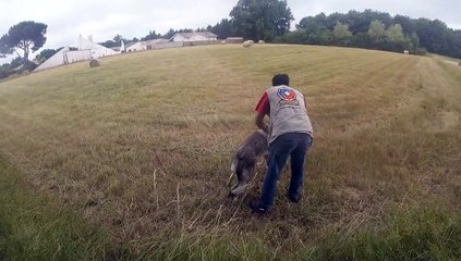 seiko le 19 juin 2022