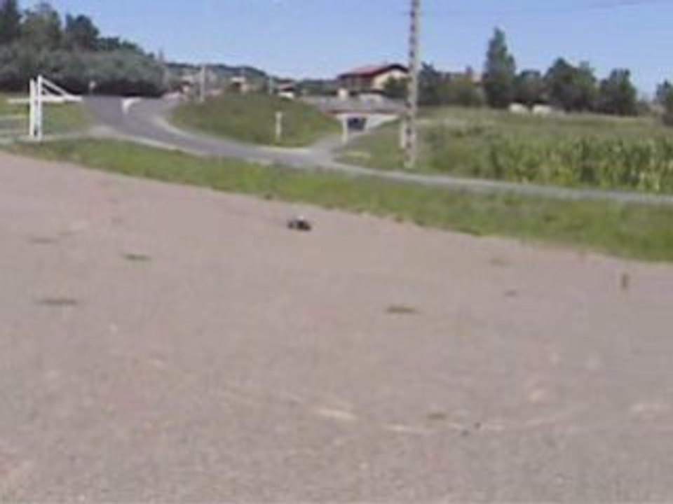 Video Stampede