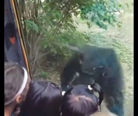 FORGET CATS! Funny KIDS vs ZOO ANIMALS are WAY FUNNIER! - TRY NOT TO LAUGH