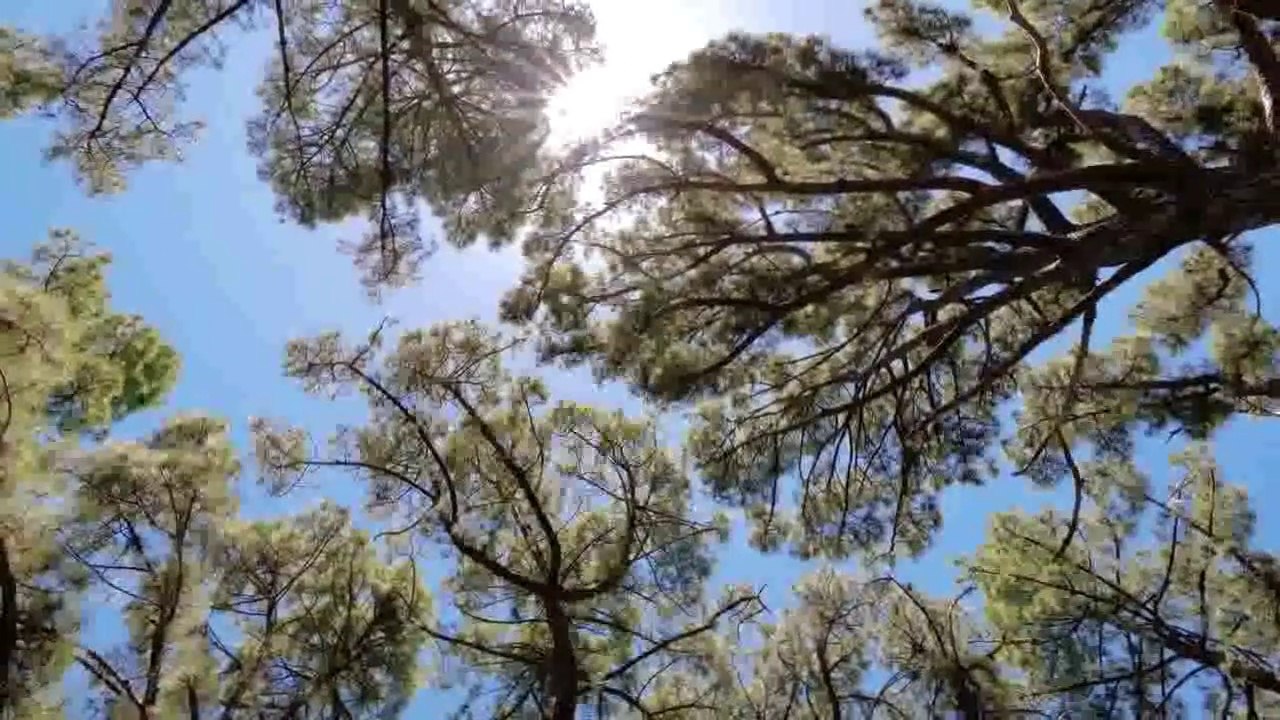 KEEP OF NATURE