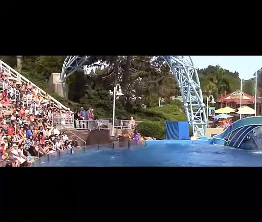Dolphin Days (Full Show) at SeaWorld San Diego on20/06/2022