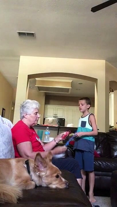 Cyclone Flyer Flying Disc Toy Fun Play