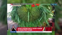 Hugis-pusong pinya, agaw-pansin sa isang fruit stand | UB