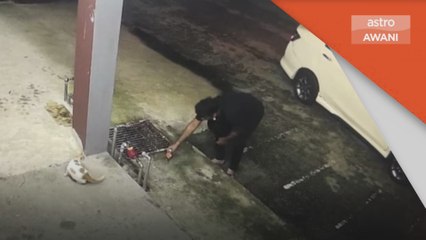 Penderaan Haiwan | Lelaki seksa kucing direman hari ini