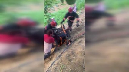 Yamaçtan yuvarlanan ineği itfaiye ekipleri kurtardı