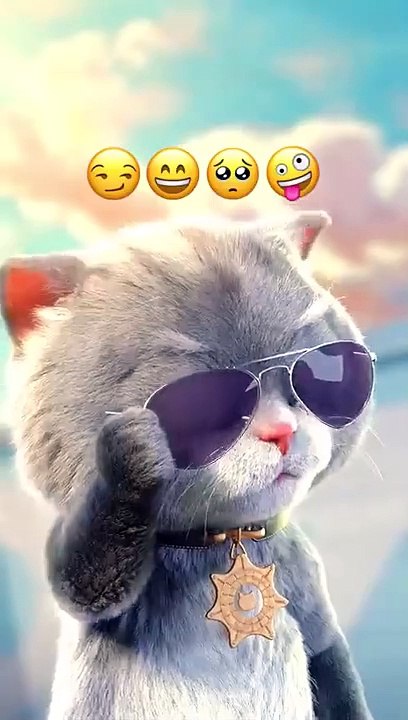 Cute TikTok Tabby Cat dancing