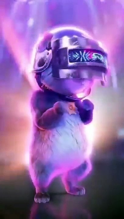 Cute Cat tiktok tabby cat dancing