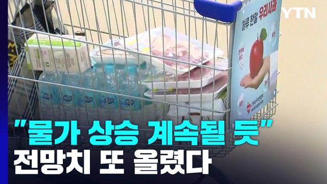 한은 물가 상승 당분간 지속 ...한 달 만에 전망치 또 올렸다 / YTN