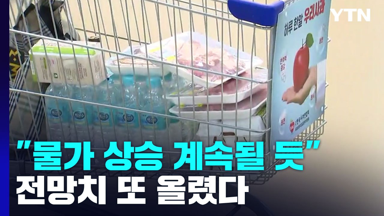한은 "물가 상승 당분간 지속"...한 달 만에 전망치 또 올렸다 / YTN
