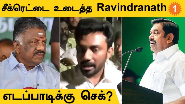 OPS , Sasikala-வை சந்திக்கிறாரா? | O P Ravindranath Kumar சொன்ன 3 Angles *Politics