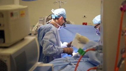 Health, mental health & small business among the winners