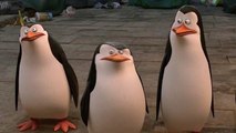 Die Pinguine aus Madagaskar - Der neue Trailer mit Skipper und Co.
