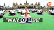 WATCH: PM Narendra Modi At Yoga Day Mass Event In Mysuru