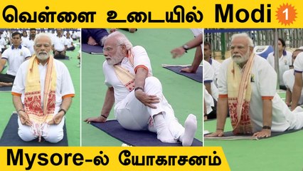 யோகாசனம் செய்த PM Modi | இந்தியா முழுவதும் கொண்டாடப்படும் Yoga Day