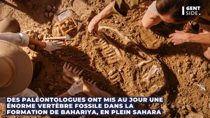 Un étrange dinosaure carnivore à "tête de bulldog" découvert au beau milieu du Sahara