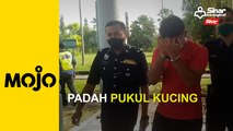 Suspek pukul kucing di Kuala Muda kena reman tiga hari
