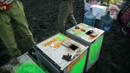 Release Ex Dancing Monkeys