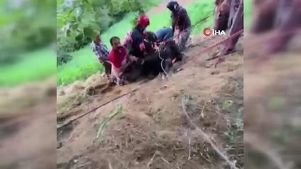 Yamaçtan düşen inek için seferber oldular