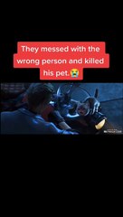 Tentang kemanusiaan sangat mengharukan film