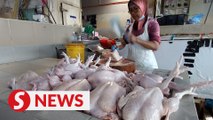 Chicken expected to cost more when ceiling price is removed on July 1