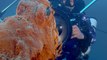 Images exceptionnelles des volcans sous-marins d'Italie carré