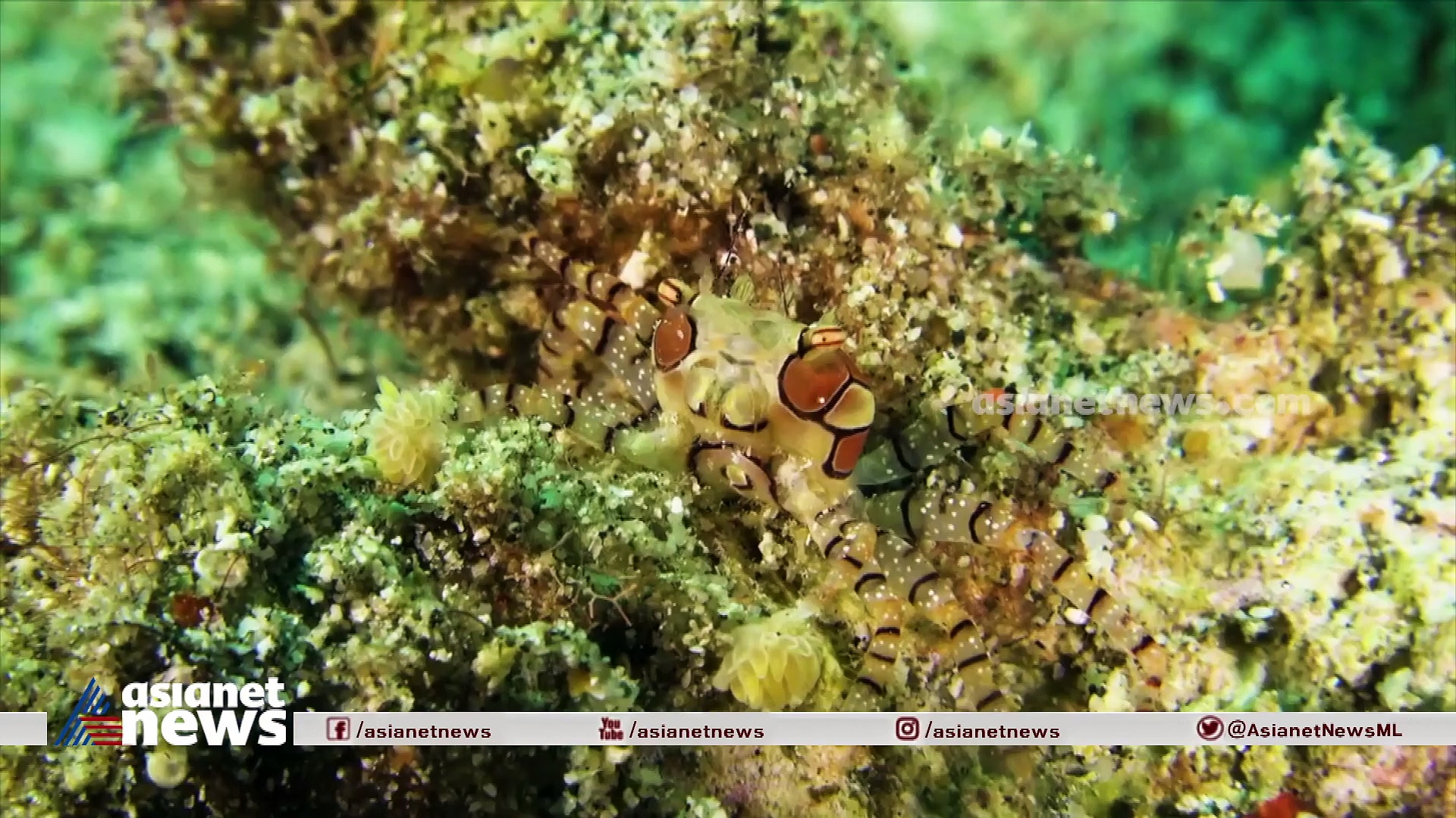  വിറ്റാമിന്‍ ഡിയുടെ പുതിയ ഉറവിടമായി ജനിതകവ്യതിയാനം വരുത്തിയ തക്കാളികള്‍; കാണാം പ്രപഞ്ചവും മനുഷ്യനും