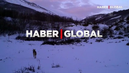 Bingöl'de yaban hayatı fotokapanla görüntülendi