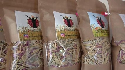 Kadın kooperatifine gündüz bakımevi