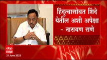 Narayan Rane Full PC: ठाकरेंनी त्वरित राजीनामा द्यायला हवा, नारायण राणेंचं शिंदेंच्या बाजूनी वक्तव्य