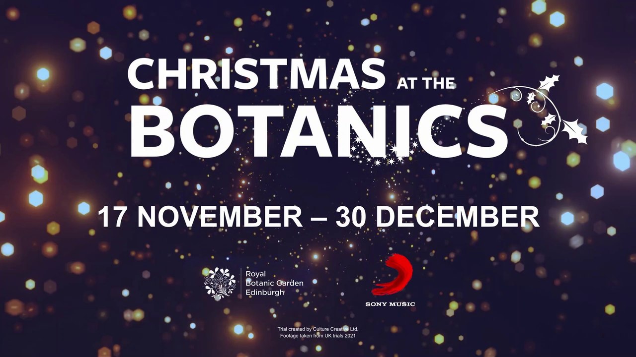 Christmas At The Botanics 2022 Northern Lights inspired spectacle to