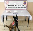 Jandarmanın uyuşturucu köpeği 