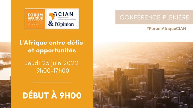 L'Afrique entre défis et opportunités
