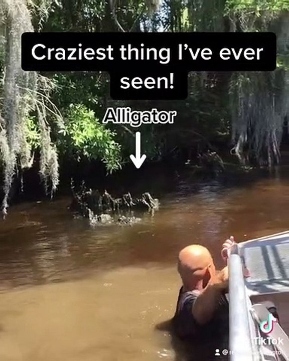 Un homme va se baigner dans les marécages et soulève un alligator sauvage