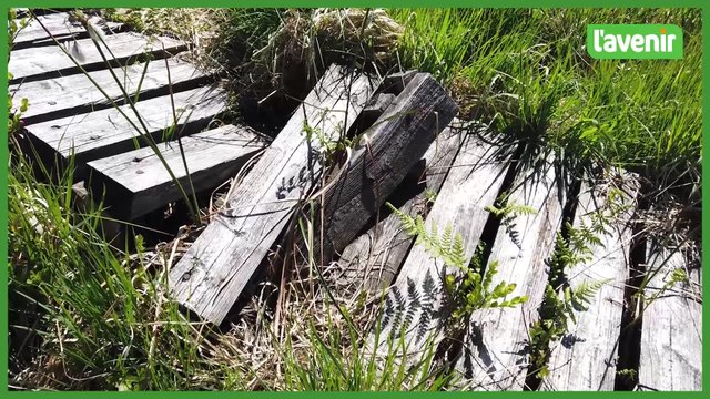 La province de Liège vient en aide aux caillebotis des Hautes Fagnes