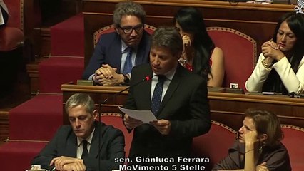 Ucraina, Ferrara (M5s): "Camere siano maggiormente coinvolte, anche su invio armi"