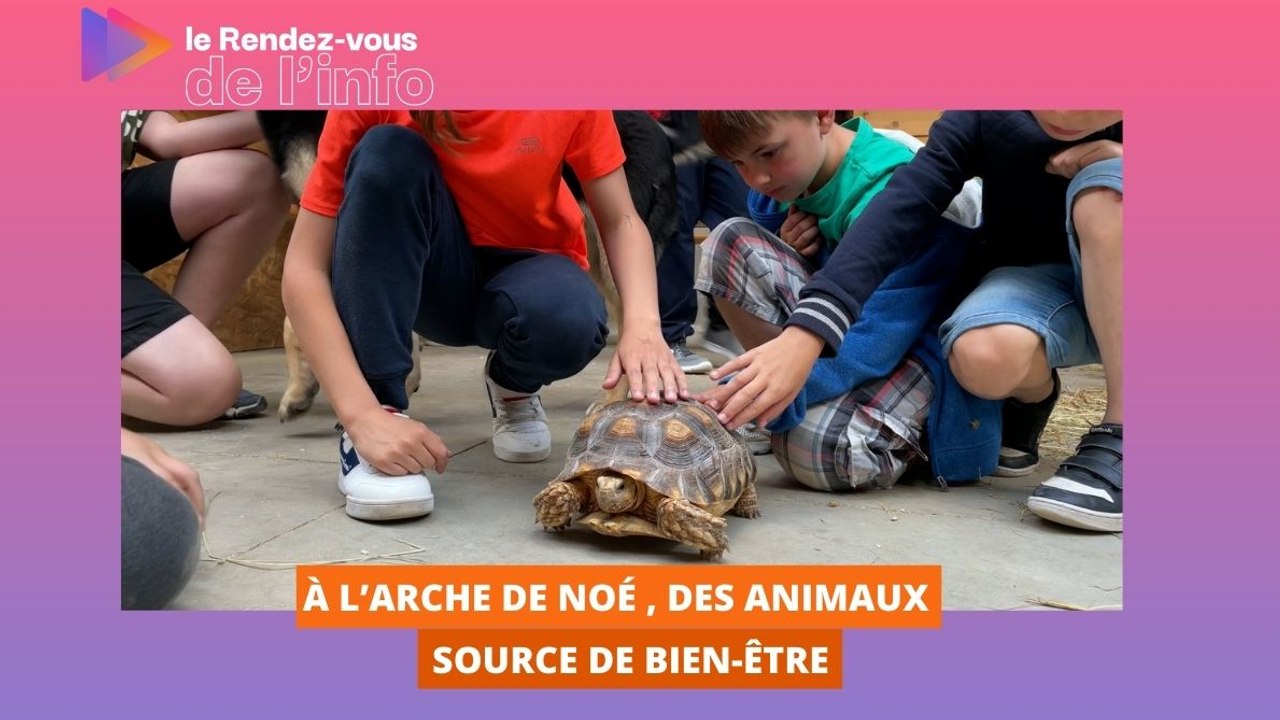 A l’Arche de Noé, des animaux source de bien-être