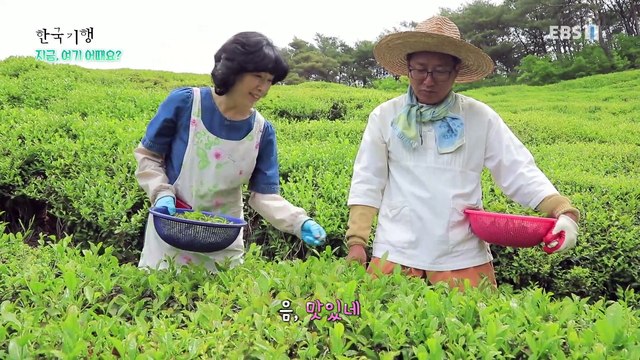 한국기행 - Korea travel_지금, 여기 어때요? 3부- 즐거운 나의 인생_#002