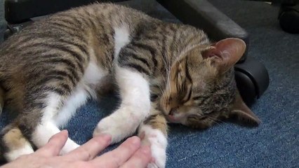 I Wonder If I Can Scare Mommy If I Play Dead