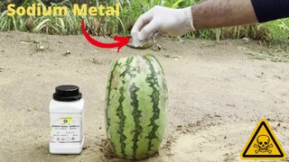 Sodium Metal Vs  Watermelon Dangerous Experiment | भुलके भी ऐसा घर पर मत करना 