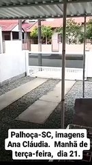 Queda de granizo atinge cidades da Grande Florianópolis