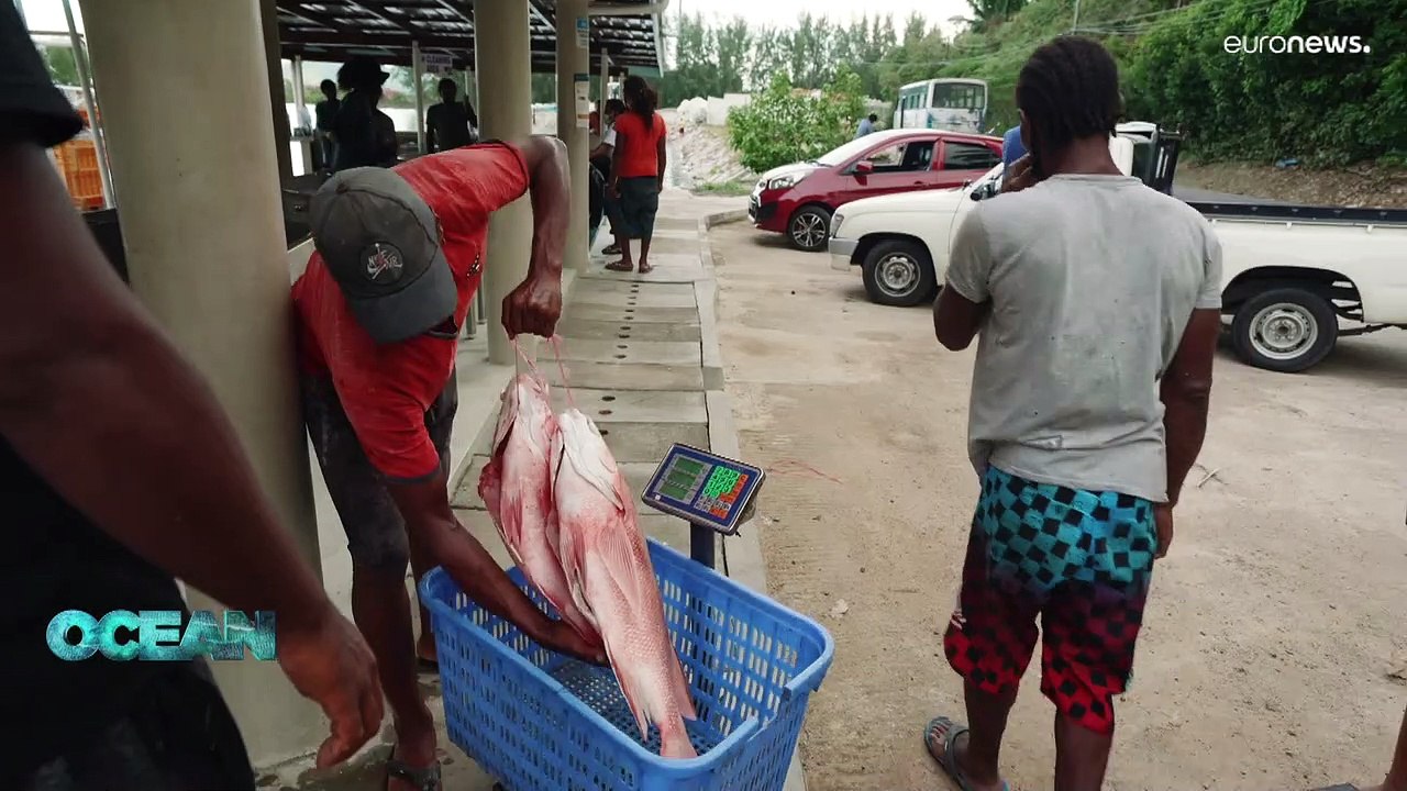 Illegale fischerei: eine bedrohung für marine Ökosysteme