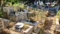 Kocaeli'nin Darıca ilçesinde bebek mezarlarına 'balyozlu saldırı' düzenlendi
