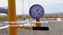 Quels pays peuvent combler la baisse des livraisons de gaz russe vers l’UE ?