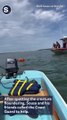 Coast Guard Rescues 900-Pound Endangered Sea Turtle Tangled in Buoys in Nantucket