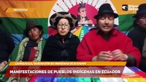 Manifestaciones de pueblos indígenas en Ecuador