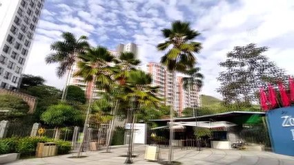 Kolombiya'daki Cali Hayvanat Bahçesi