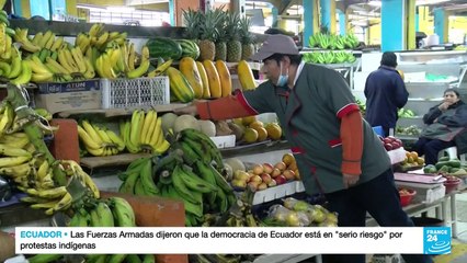 Download Video: Empieza el desabastecimiento de algunos productos en varias provincias de Ecuador