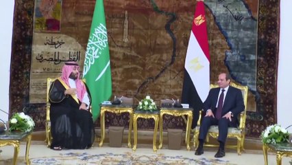 بيان ختامي سعودي مصري: التأكيد على وحدة الموقف والمصير المشترك